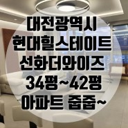 대전미분양아파트/현대힐스테이트 선화더와이즈 34평~42평 아파트분양/청약시주택수미포함