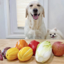 강아지 참외::급여방법 효능...반려견 노견 애견 다이어트 간식 영양식 건강식 비타민C 과일 OGUO