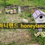경기북부 아이들과 가볼만한 놀이동산 하니랜드 honeyland