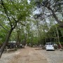 숲에정원 , 접근성좋고 애견동반 캠핑이 가능한 매력적인 장소 ~