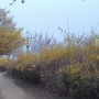 뚝섬한강공원에서의 'Cogito ergo sum'(나는 생각한다. 고로 존재한다) : 2023년의 봄, 자연 그리고, 느낌들
