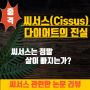 씨서스 다이어트의 진실과 신화 : 체중 감소, 건강 효능 및 주의사항 (Cissus Diet)