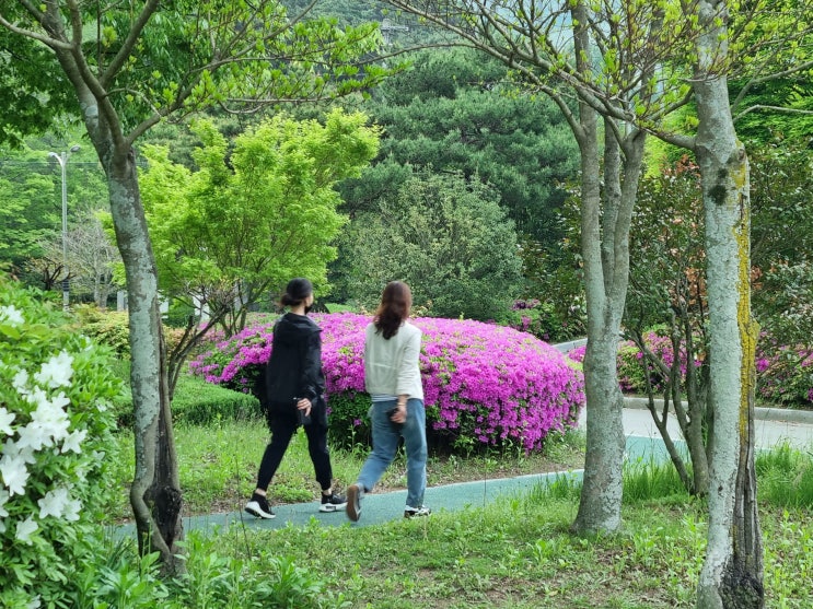 김해 진영 금병 공원, 상큼한 봄볕 받으며 산책하기 좋아요~