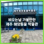 제주도 동부 성산일출봉 근처 4살 아이랑 비 오는 날 실내 가볼 만한 곳 제주 해양 동물 박물관