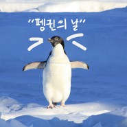 '세계 펭귄의 날'을 아시나요? World Penguin Day!