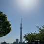 화창한 일본 하늘!!