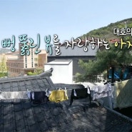 김대호 아나운서 집위치 단독주책 집가격 인스타 프로필