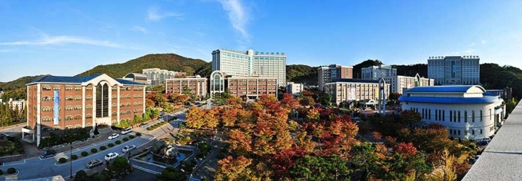 백석대 수시등급 및 경쟁률(2023학년도) 백석대학교 입결 확인하고 합격하자!! : 네이버 블로그
