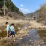 춘천 강촌 포도캠핑장 아이들과 1박 2일 가족 캠핑