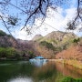 전북 진안 여행 가볼만한곳 마이산 탑사, 벚꽃엔딩과 함께 한 야경과의 마주침.