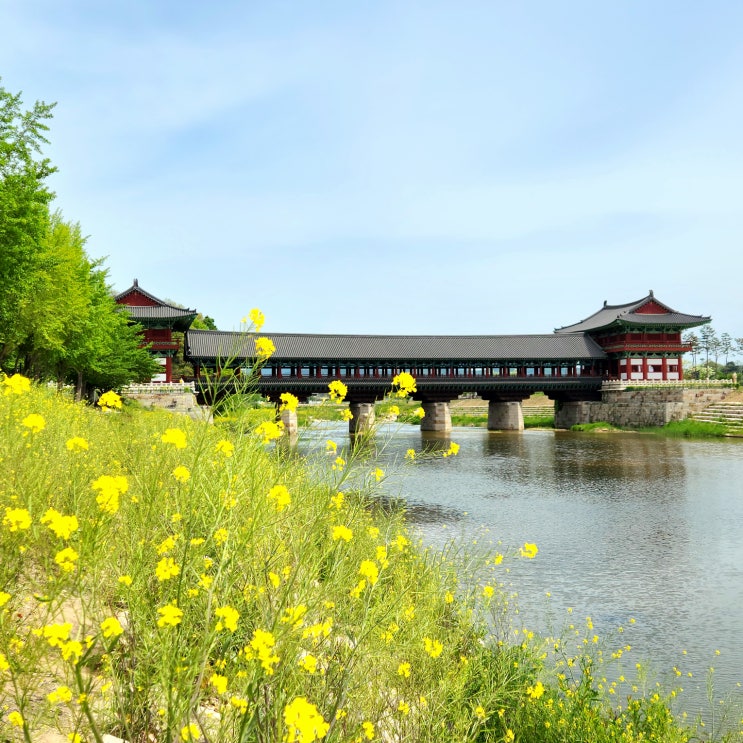 경주 여행 첨성대 월정교 월성 교촌마을 가볼만한곳 도보 코스 : 네이버 블로그