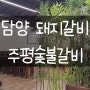 담양 <주평숯불갈비> 돼지갈비 맛집 내돈내산 리뷰