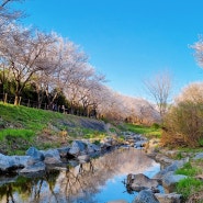 도시락 수저세트 없이 나들이 가는 사람 없죠?