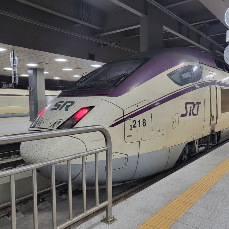 [🚄SRT | A부터 Z까지_하나로 끝!] : 네이버 블로그