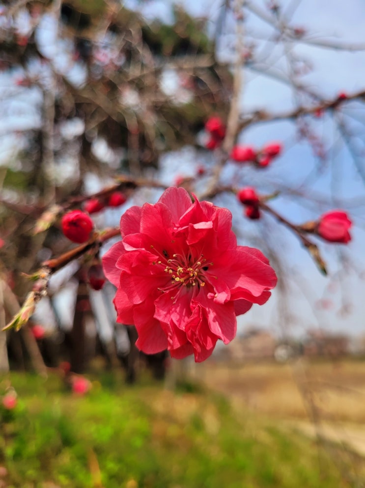 [공원/산책]이서 지사울공원산책~~~♡♡