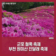 경기도 꽃축제 두 곳, 군포 철쭉 축제/ 부천 원미산 진달래 축제