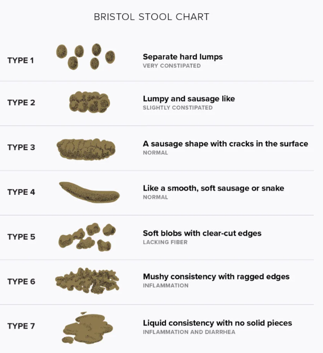 Bristol Stool Form Scale : 네이버 블로그