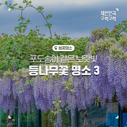 3  :: 함안 강나루생태공원, 남해 냉천갯벌체험장, 부산...