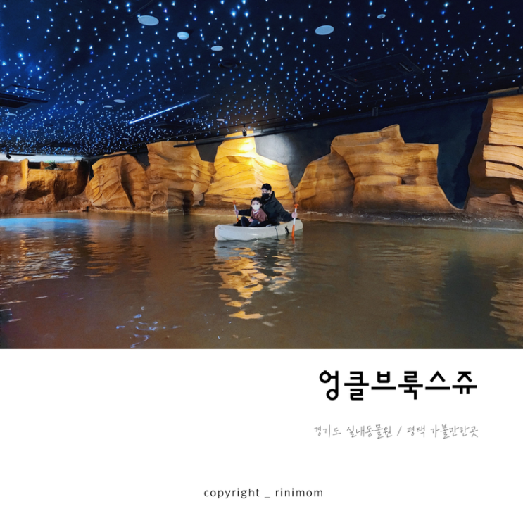 평택 엉클브룩스쥬 카약체험이 있는 이색 실내동물원 : 네이버 블로그