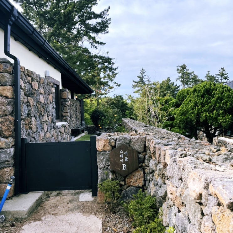 [제주 애월]스테이여울B동_돌담이 예쁜 에어비앤비 감성 독채펜션 추천🏡 : 네이버 블로그