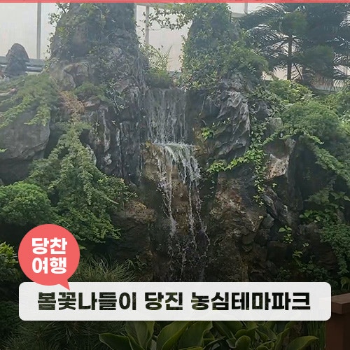 봄꽃 나들이 당진 농심테마파크