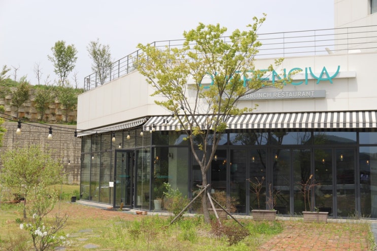 용인 분위기 좋은 레스토랑 맛집 케렌시아 (에버랜드 주변 맛집 추천) : 네이버 블로그