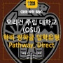 미국 오레곤 주립 대학교(OSU) 학비, 장학금, 입학유형, 입학기준(Pathway, Direct)