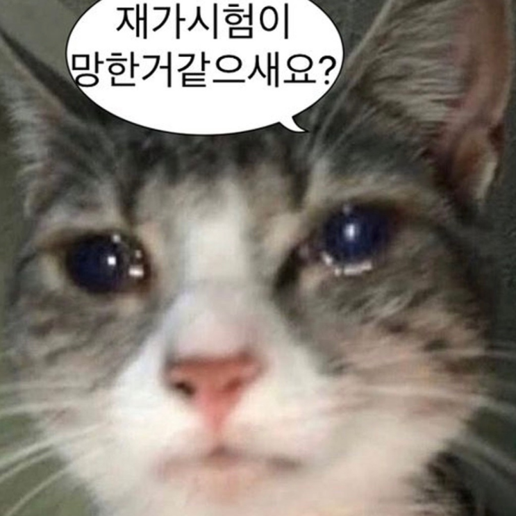 1학년 1학기 중간고사까지 학교 다닌 썰 : 네이버 블로그