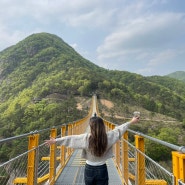 금산 월영산 출렁다리 스릴감 최고