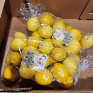 코스트코 레몬 가격