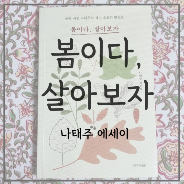 봄이다 살아보자. 풀꽃 시인 나태주 에세이. 힐링 문구. 좋은 글귀 : 네이버 블로그