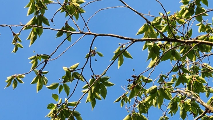 지사울공원