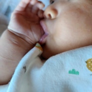 모유수유아기 쪽쪽이 사용시기와 손가락 빨기