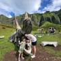 6살 아이와 하와이여행_쿠알로아랜치(Kualoa Ranch) 방문후기/쥬라기월드 촬영지