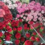 카네이션꽃다발 꽃바구니 동구꽃배달 신천동꽃집 은난초플라워
