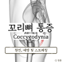 꼬리뼈가아픈이유 꼬리뼈통증 타박상 골절 예방 및 스트레칭 (coccygodynia)