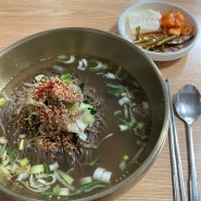 [삼성동 맛집] 기찬메밀국수 삼성점 (ft. 소식좌 안영미 맛집 / 3년만의 인사)