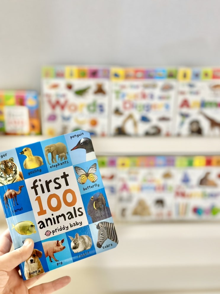 돌아기 실사 인지책 추천(Dk my first collection book, first 100 collection, 시우맘 ...