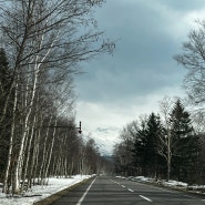 [홋카이도여행 北海道 3일차] 비에이 美瑛, 토요타렌트카 トヨタレンタカー, 브랑루즈 ブランルージュ, 키타코보 北工房, 청의호수青い池, 징기스칸쥬테츠 ジンキスカン十鉄