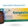 Injectable Vitamin B17 (앰플형 비타민 B17) 2박스(총 20앰플)