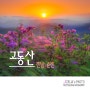 전남 순천 『고동산』