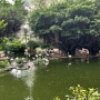 홍콩 여행 침사추이역 가볼만한 곳 플라밍고 무료 구경 :: 카우룽공원 Kowloon Park