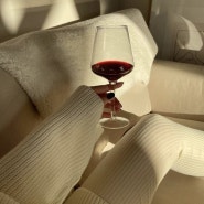 와인 지식 : 와인 품종들과 품종별 특징에 관해서