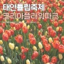 태안 안면도 튤립 축제 코리아플라워파크 입장권 세계 튤립 꽃 박람회 기간