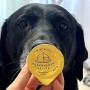 코펜하겐 레서피 강아지 에센셜 캡슐 대형견 습식사료 솔직후기