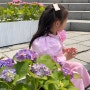 고양국제꽃박람회 주말 오픈런 (꽃배, 회전목마, 공연, 주차팁 등)