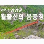 월출산의 봄풍경(산성대-천황사 코스)