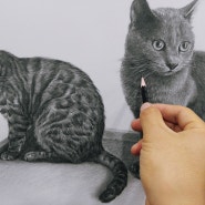 반려동물 반려묘 초상화 그림 주문 작업 고양이 극사실화 연필 소묘
