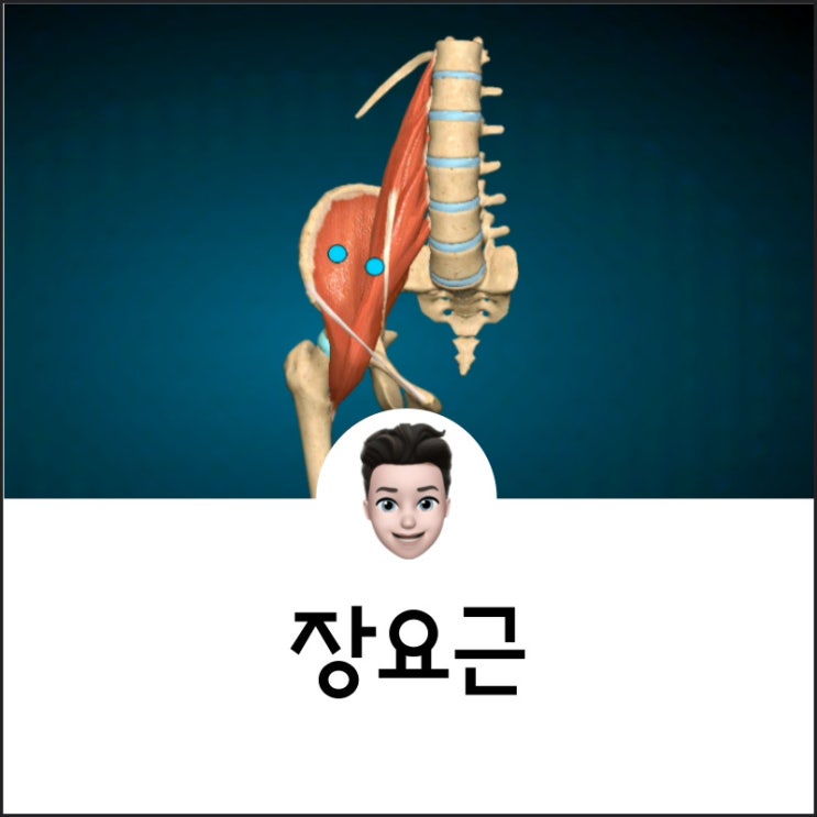 장요근 , 대요근 , 소요근 , 장골근 ,스트레칭 ,장요근 테스트 ,허리근육,허리아픔,허리폄,허리구부림 : 네이버 블로그
