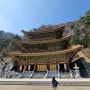 [단양 여행] 만천하스카이워크 하늘꿈펜션 온달관광지 동굴 구인사